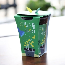 한컵쑥쑥 콩나물키우기