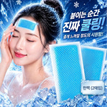 붙이는 아이스 쿨패치 (30팩 / 1팩 2매입)