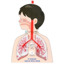 SA 들숨날숨! 호흡으로 배우는 폐모형 (4인 세트)