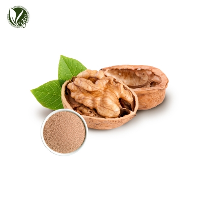 호두껍질파우더 (Juglans Regia (Walnut) Shell Powder, 호두나무열매껍질가루)