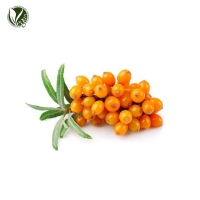 비타민나무수(씨벅턴) (Hippophae Rhamnoides Water)