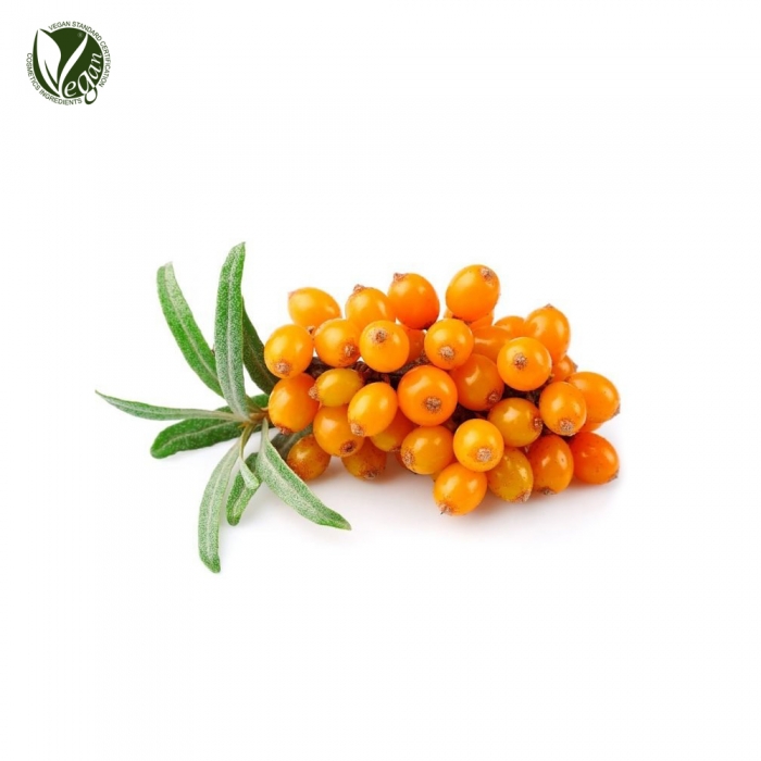 비타민나무수(씨벅턴) (Hippophae Rhamnoides Water)