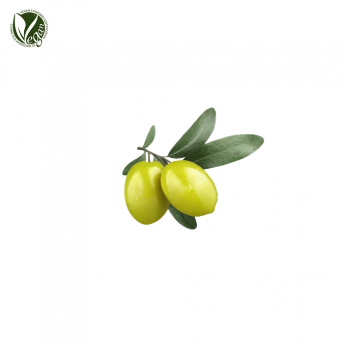 SK OLIVE SQUALANE (Vegetable Squalane, 스쿠알란)