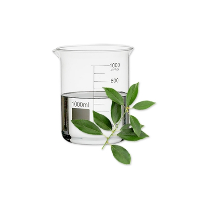 녹나무잎추출물 (Cinnamomum Camphora (Camphor) Leaf Extract)