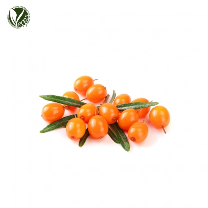 SEABUCKTHORN PULP OIL/씨벅턴오일 (비타민나무열매오일/Hippophae Rhamnoides Fruit Oil)