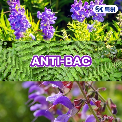 ANTI-BAC (항균/항진균)(황금추출물/관중뿌리추출물/단삼뿌리추출물)