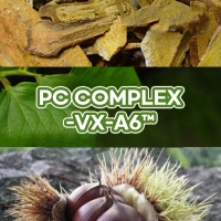 PC Complex&trade; (호장근뿌리/감나무잎/율피)