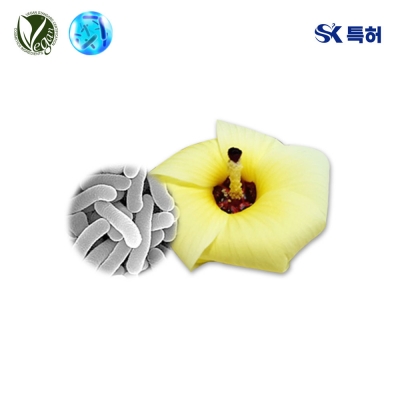 VEGANIOME&reg; LactoAbel (Lactobacillus/Abelmoschus Manihot Flower Ferment Filtrate)