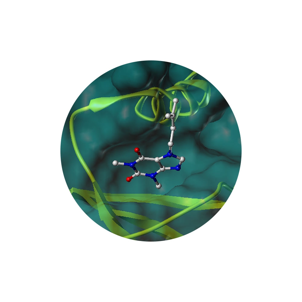 ATOPHYLLINE&reg; (Isopentenyltheophylline/#아토피성 피부)
