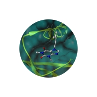 ATOPHYLLINE&reg; (Isopentenyltheophylline/#아토피성 피부)