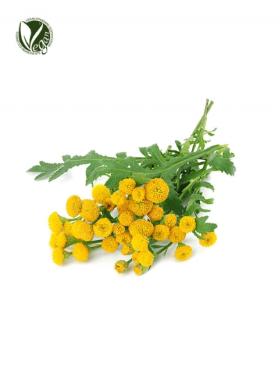 Blue Tansy Essential Oil(Tanacetum Annuum Flower Oil)