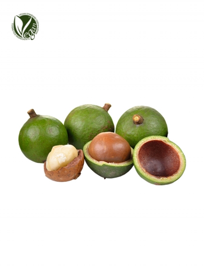 Tamanu Seed Oil (Calophyllum Inophyllum Seed Oil)