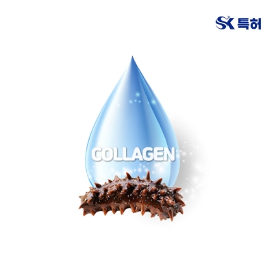 홍해삼콜라겐추출물 (해삼추출물, Sea Cucumber Extract)