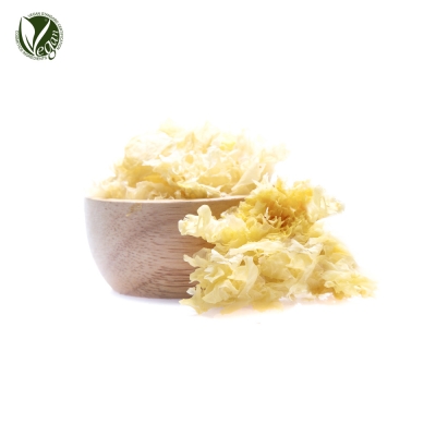 꽃송이버섯추출물 (Sparassis Crispa Extract)