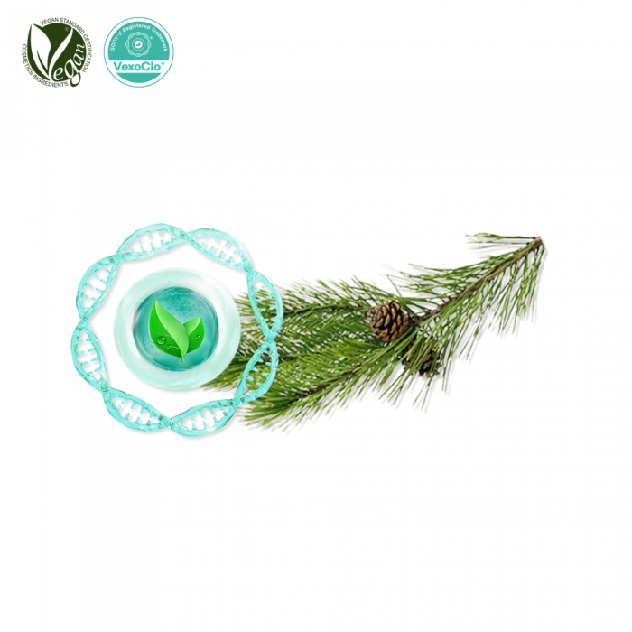VexoClo&reg; Pinergy (소나무잎추출물, Pinus Densiflora Leaf Extract)