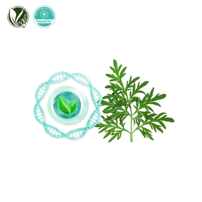 VexoClo&reg; Arterin Complex&trade; (개똥쑥잎/사철쑥/참쑥추출물/쑥잎소포)