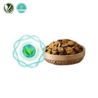 VexoClo&reg; Rooticle Complex&trade; (고삼/황련뿌리줄기/황금/작약/천궁/인삼/골담초/하수오뿌리)