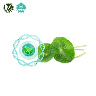 VexoClo&reg; Centella (병풀잎소포, Centella Asiatica Leaf Vesicles)