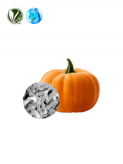 VEGANIOME&reg; LactoPump (Lactobacillus/Pumpkin Ferment Extract)