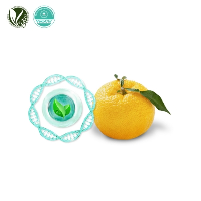 VexoClo&reg; Yuzarus (유자추출물, Citrus Junos Fruit Extract)