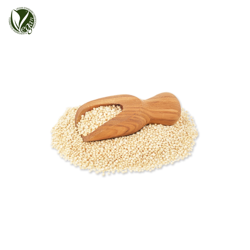 퀴노아추출물 (Chenopodium Quinoa Extract)