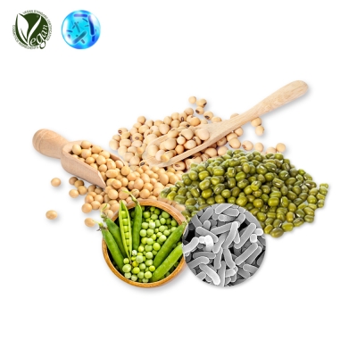 VEGANIOME&reg; LactoBean Complex&trade; (녹두/콩/돌콩/완두콩추출물/락토바실러스발효물)