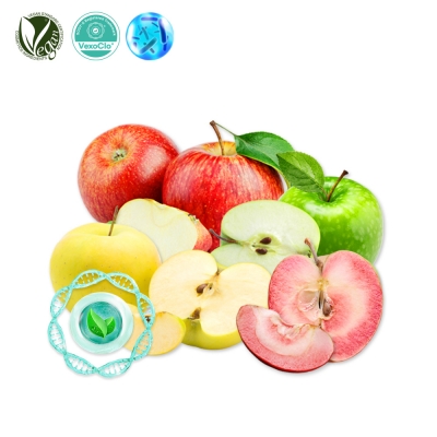 VexoClo&reg; LactoApple (홍로/아오리/시나노골드/엔부, Malus Domestica Fruit Extract,사과추출물)