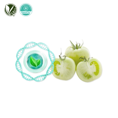 VexoClo&reg; W-mato/화이트토마토 (토마토추출물, Solanum Lycopersicum (Tomato) Fruit Extract)