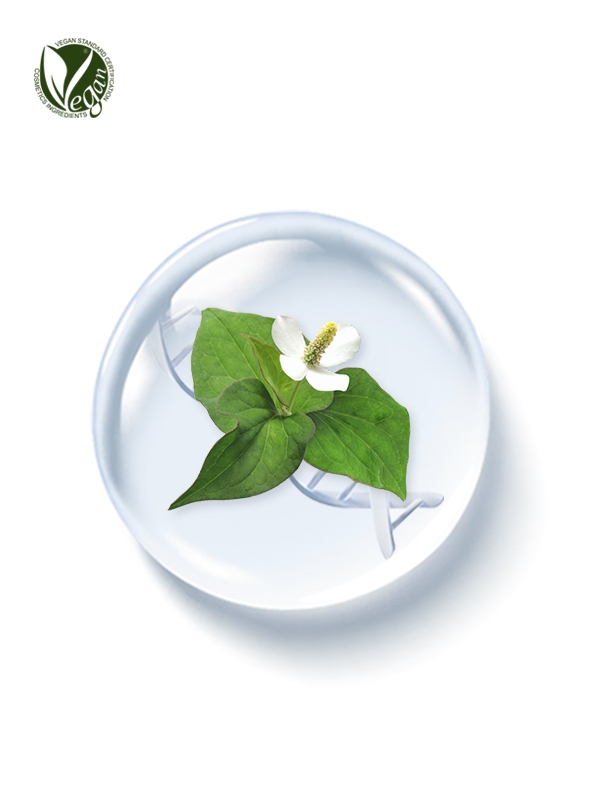 PhyDRN&trade; HeartLeaf (Sodium DNA)