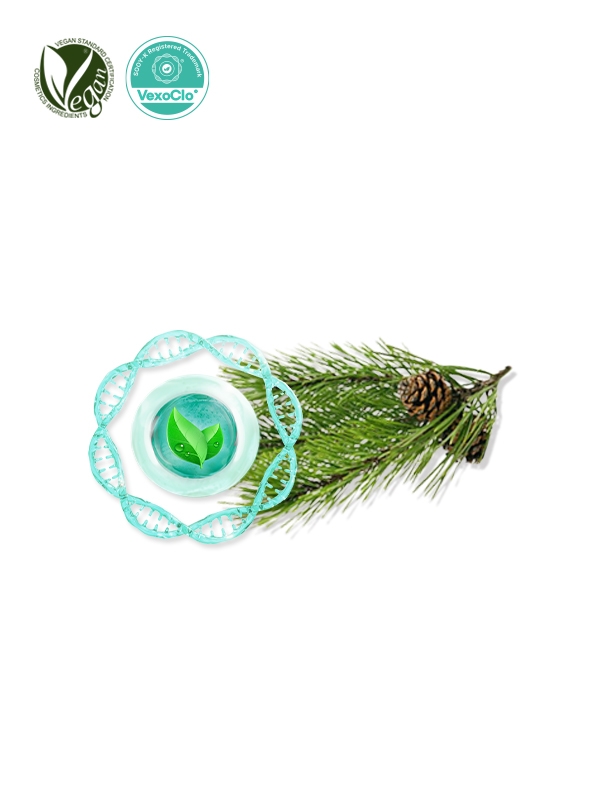 VexoClo&reg; Pinergy (Pinus Densiflora Leaf Extract)