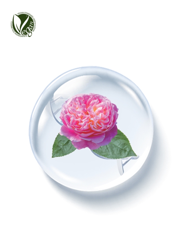 PhyDRN&trade; DamaskRose (Sodium DNA),