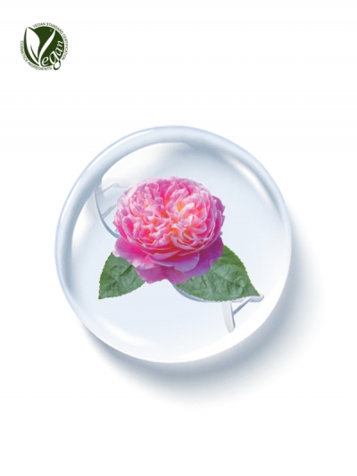 PhyDRN&trade; DamaskRose (Sodium DNA),