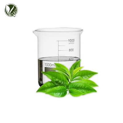 말차추출물 (녹차추출물, Camellia Sinensis Leaf Extract)