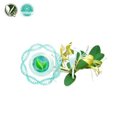 VexoClo&reg; GoldenPetal (인동덩굴꽃추출물, Lonicera Japonica (Honeysuckle) Flower Extract)
