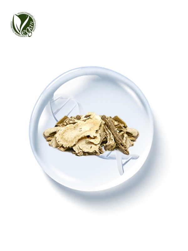 PhyDRN&trade; KoreaAngelica (Sodium DNA)