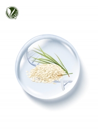 PhyDRN&trade; KoreaRice (Sodium DNA)
