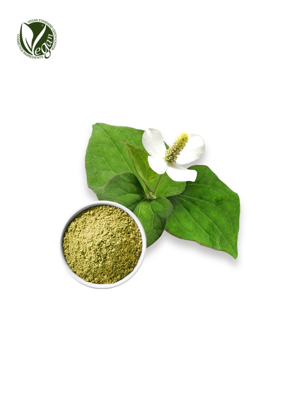 HeartLeaf Powder (Houttuynia Cordata Powder)