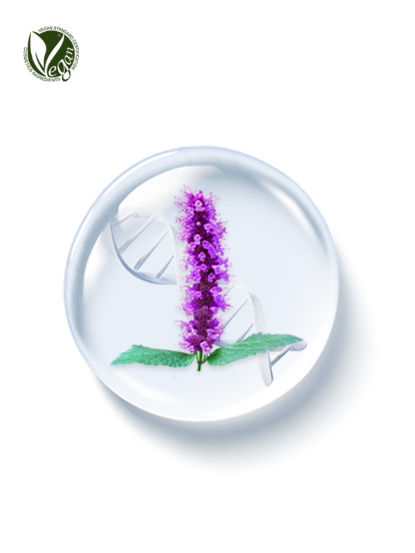PhyDRN&trade; KoreaMint (Sodium DNA)