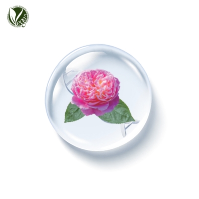 PhyDRN&trade; DamaskRose/다마스크장미 (소듐디엔에이, Sodium DNA)