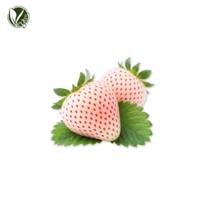 만년설딸기추출물 (Fragaria Ananassa (Strawberry) Fruit Extract)