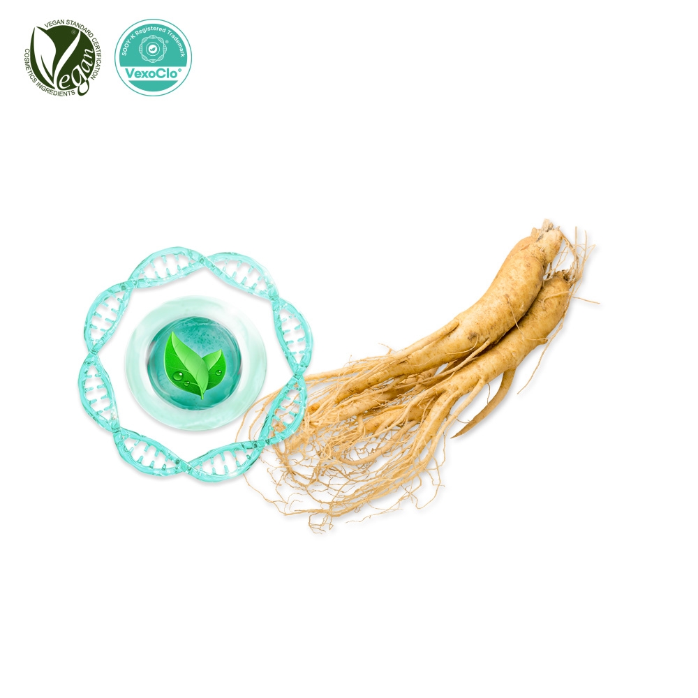 VexoClo&reg; Ginseng (인삼소포, Panax Ginseng Vesicles)