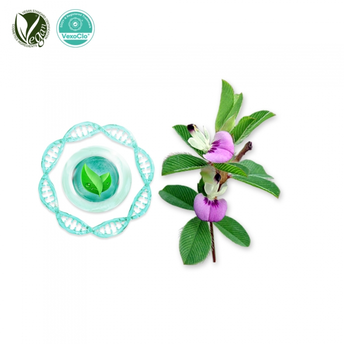VexoClo&reg; K-Clover (매듭풀추출물, Kummerowia Striata Extract)