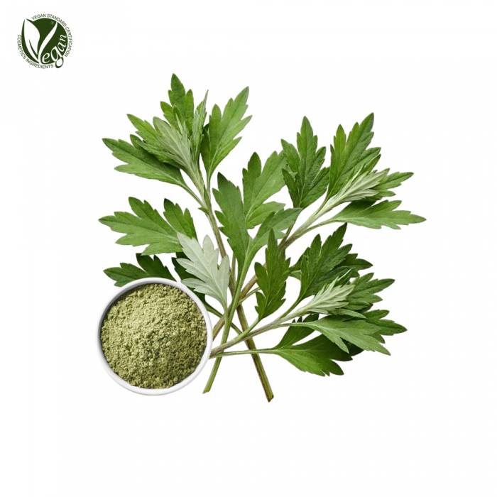 쑥파우더 (사철쑥가루, Artemisia Capillaris Powder)