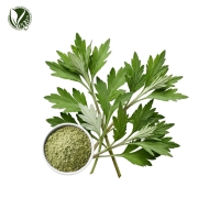 쑥파우더 (사철쑥가루, Artemisia Capillaris Powder)
