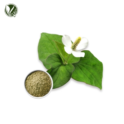 어성초파우더 (약모밀가루, Houttuynia Cordata Powder)