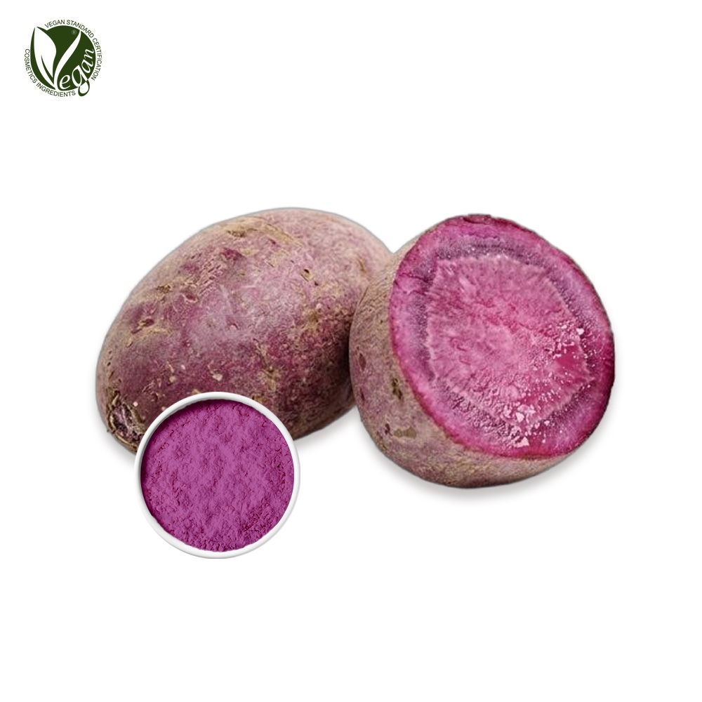 자색고구마파우더 (고구마뿌리추출물, Ipomoea Batatas Root Extract)