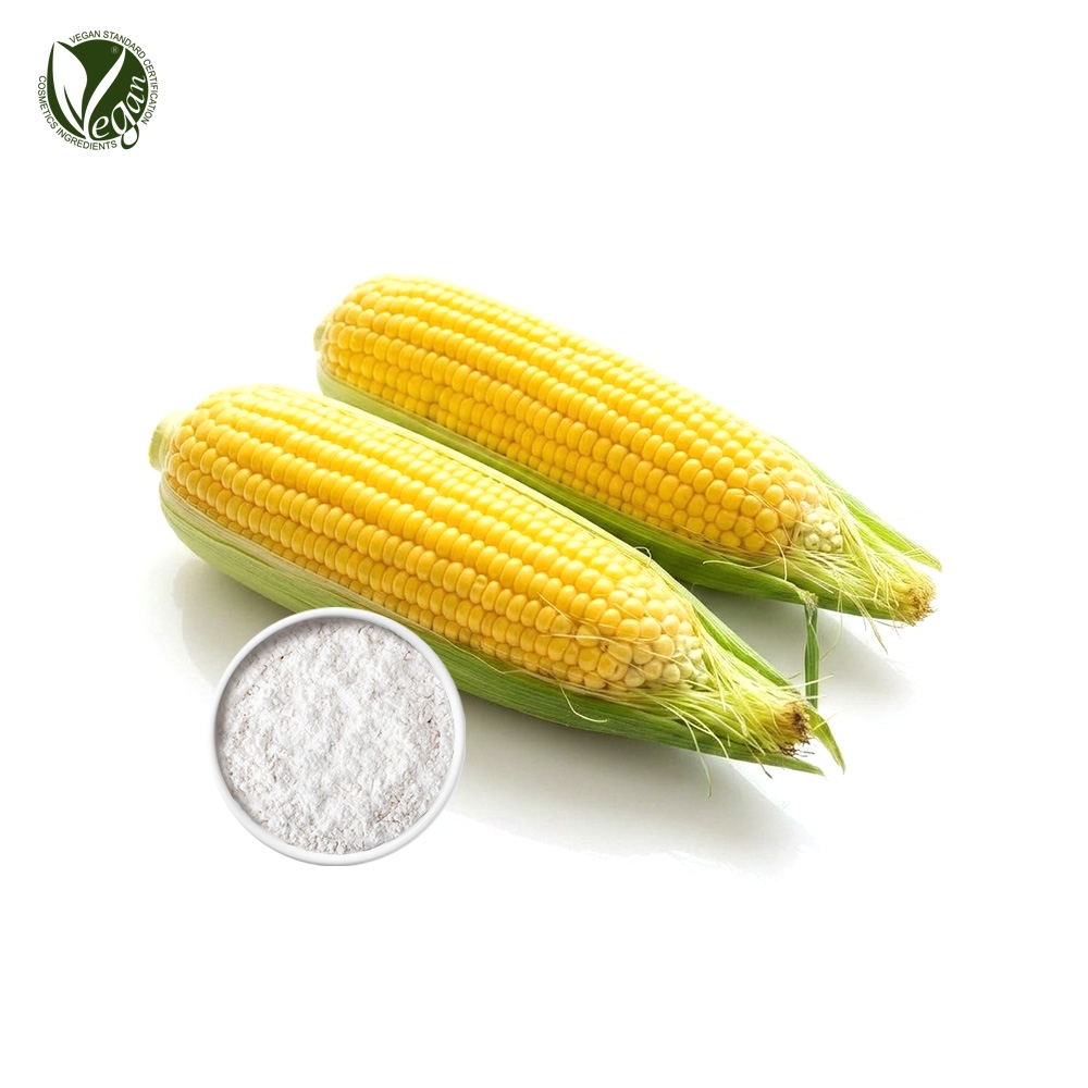SK Corn Starch White (옥수수전분, Zea Mays (Corn) Starch)