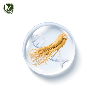 PhyDRN&trade; Ginseng/인삼 (소듐디엔에이,Sodium DNA)