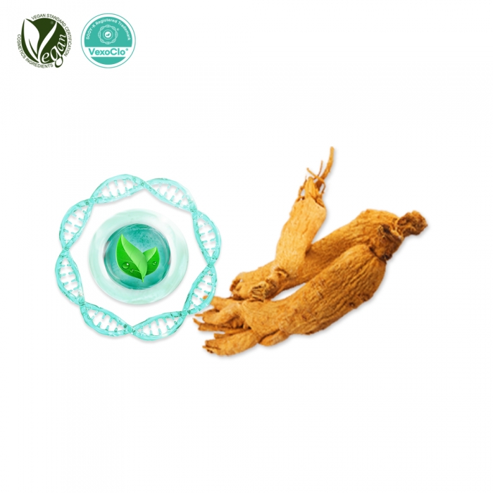 VexoClo&reg; RedGinseng (홍삼추출물, Panax Ginseng Root Extract)