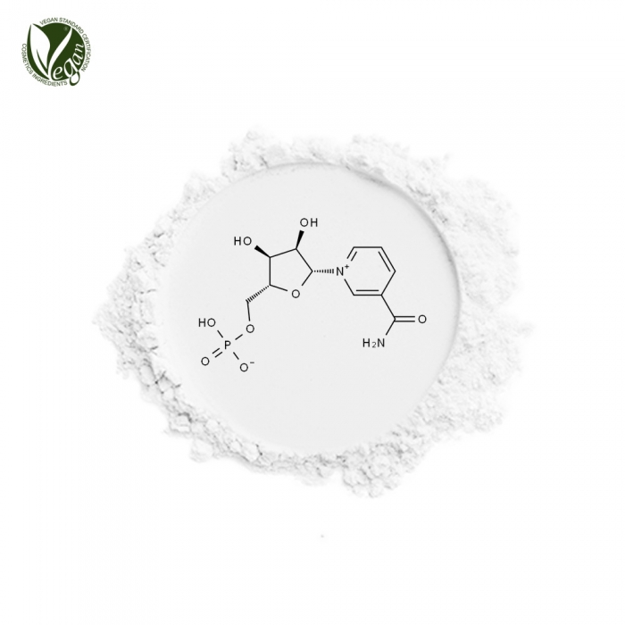 SK NMN (니코틴아마이드모노뉴클레오타이드, Nicotinamide Mononucleotide)